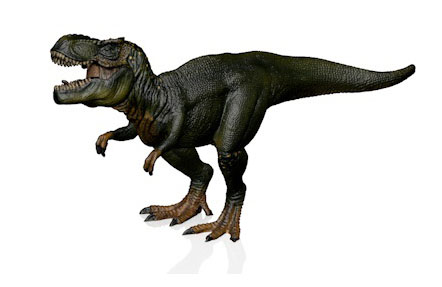 Tiranosaurus 3D Model