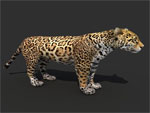 Jaguar 3D model