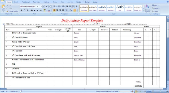 Download the sample of Daily Activity Report Template