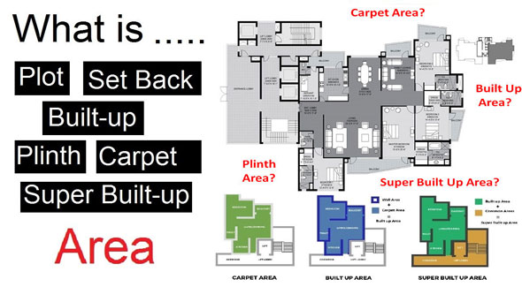 Details about Plot area, Carpet Area, Setback area, Plinth Area, Buildup Area in a building