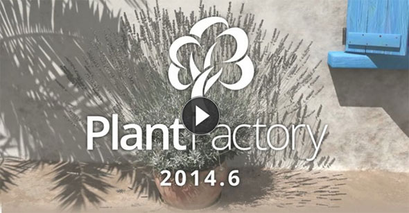 Get high class 3d plants with PlantFactory 2014.6 and PlantFactory Exporter